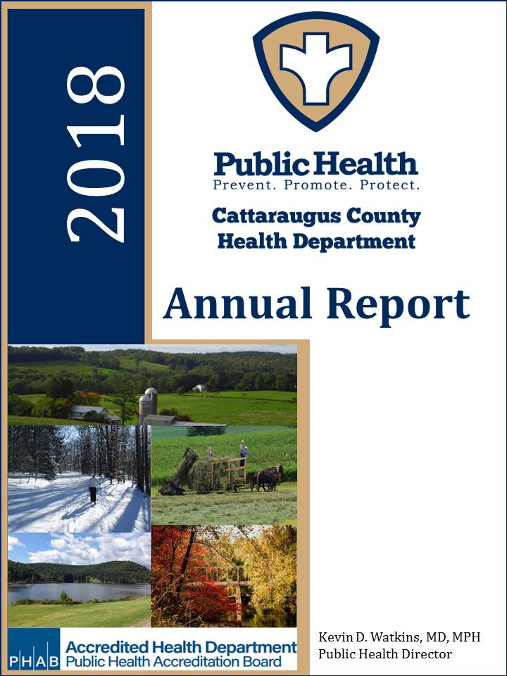 cover page for health department annual report