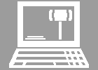 Animated online auction