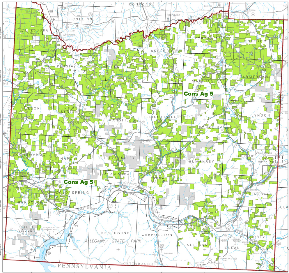 Preview of Map showing Ag Districts in Cattaraugus County